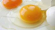 Huevos frescos de gallina